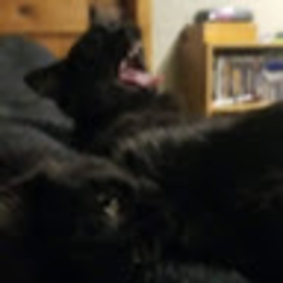 Meet your Posher, Alan - Picture 1 of 1